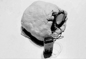 project-panel-thumbnail
