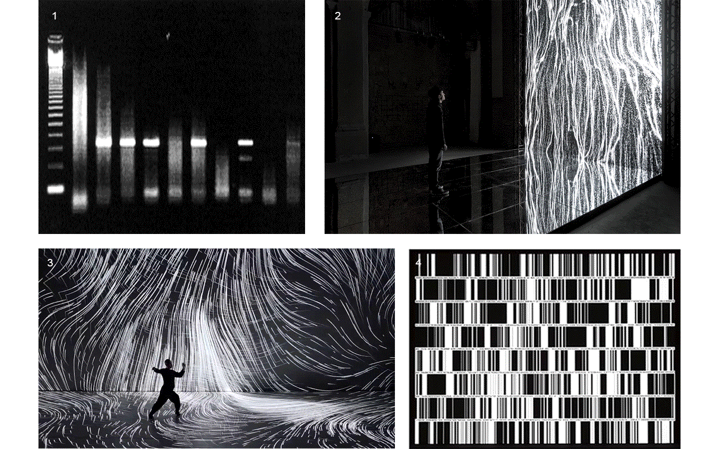 visual inspiration for Df