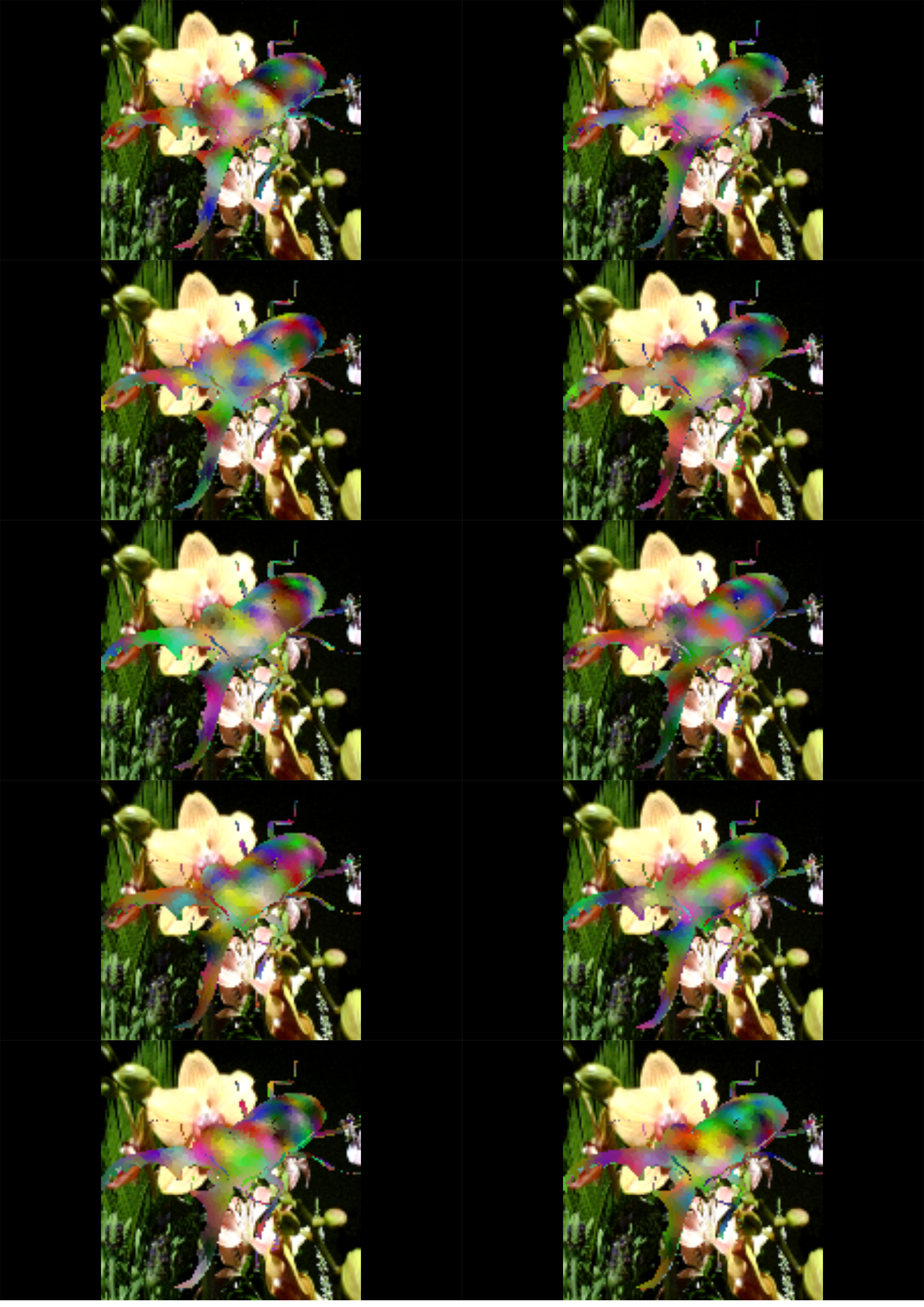 gallery-image