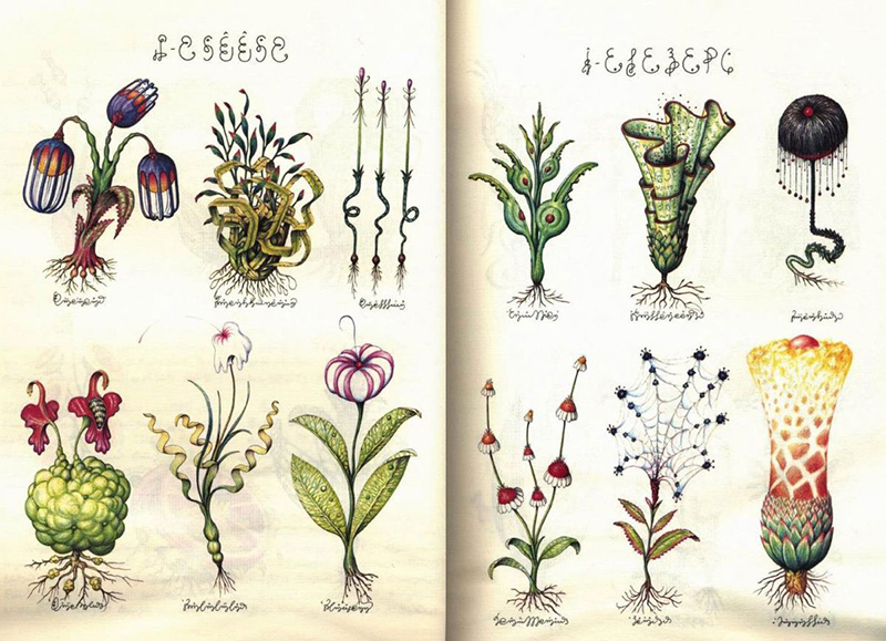 Codex-Seraphinianus